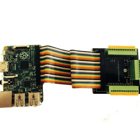 40 Way Raspberry Pi Paddle Board