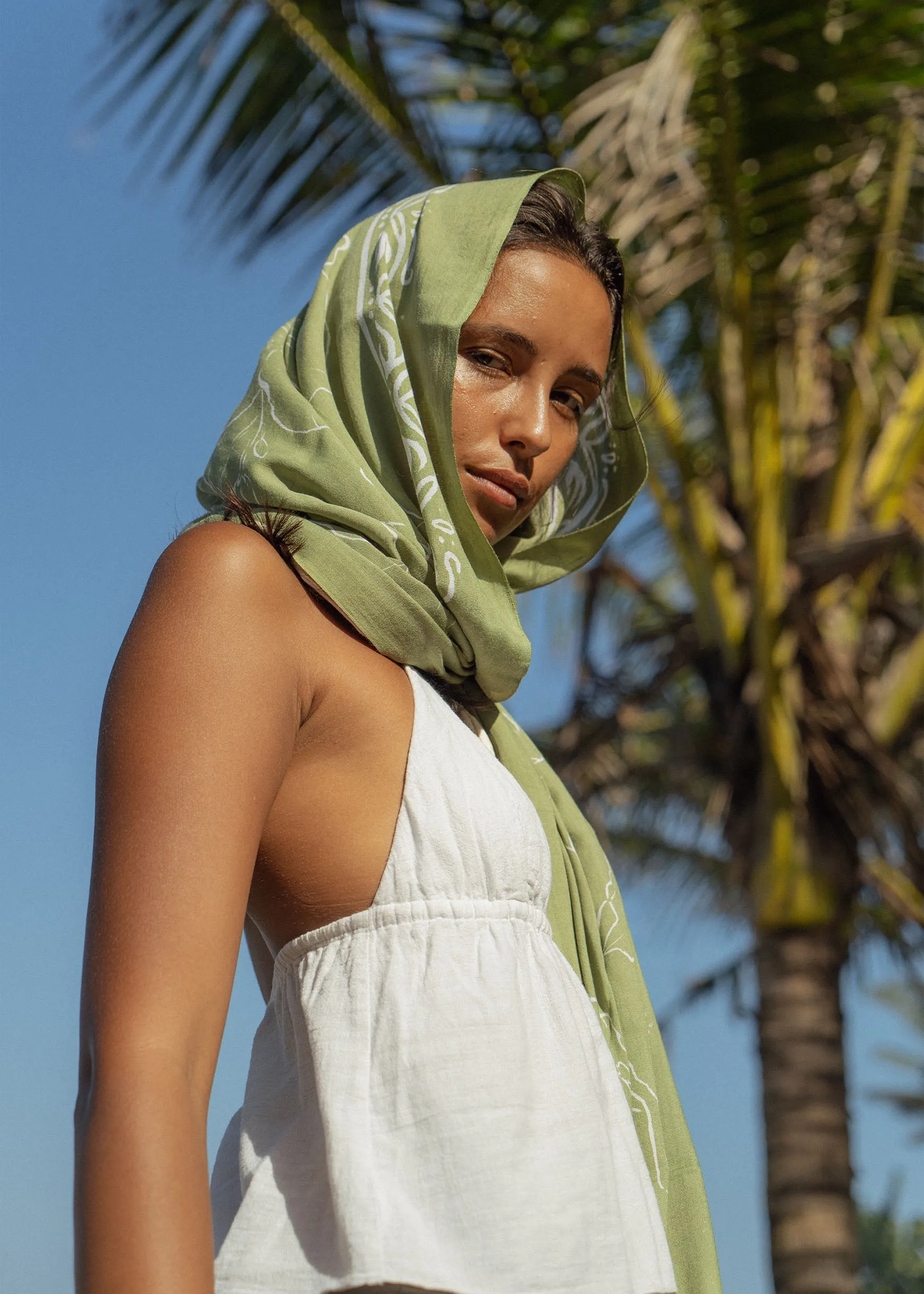 Isla Sarong Palm