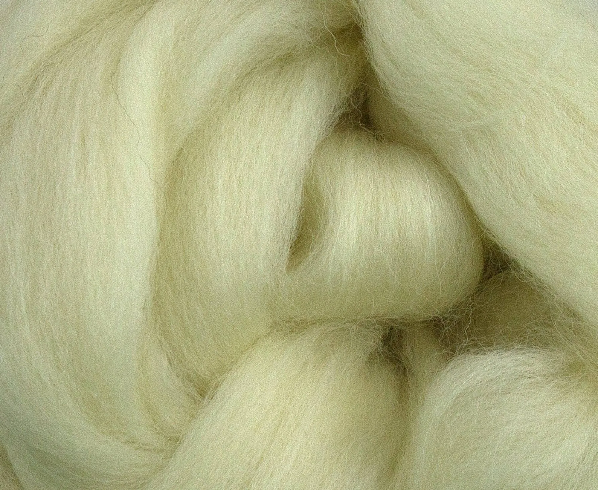 White Dorset Horn Top