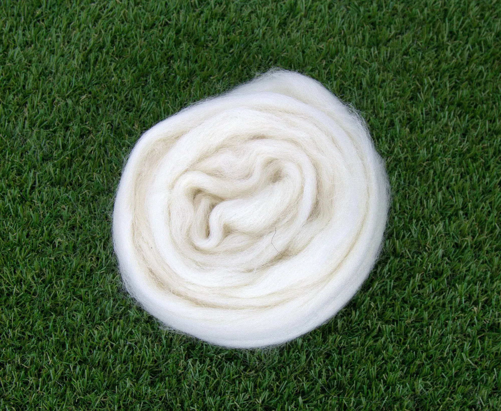 White Dorset Horn Top